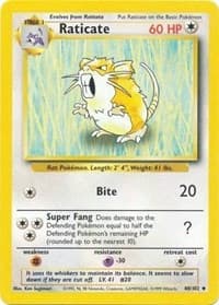 Raticate 040/102 Uncommon