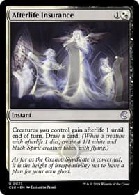 Afterlife Insurance 23