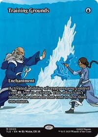 Training Grounds (Borderless) 20 M