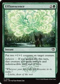 Efflorescence SOS 144